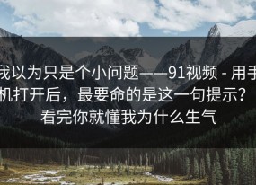 我以为只是个小问题——91视频 - 用手机打开后，最要命的是这一句提示？！看完你就懂我为什么生气