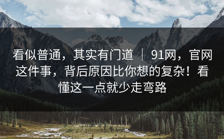 看似普通，其实有门道 ｜ 91网，官网这件事，背后原因比你想的复杂！看懂这一点就少走弯路