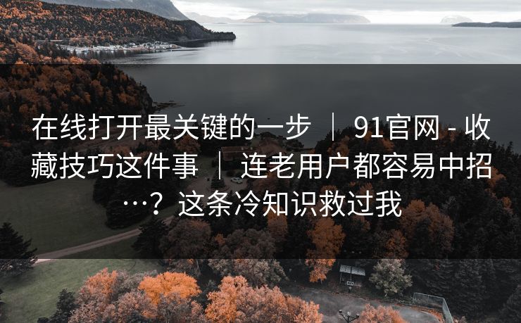 在线打开最关键的一步 ｜ 91官网 - 收藏技巧这件事 ｜ 连老用户都容易中招…？这条冷知识救过我