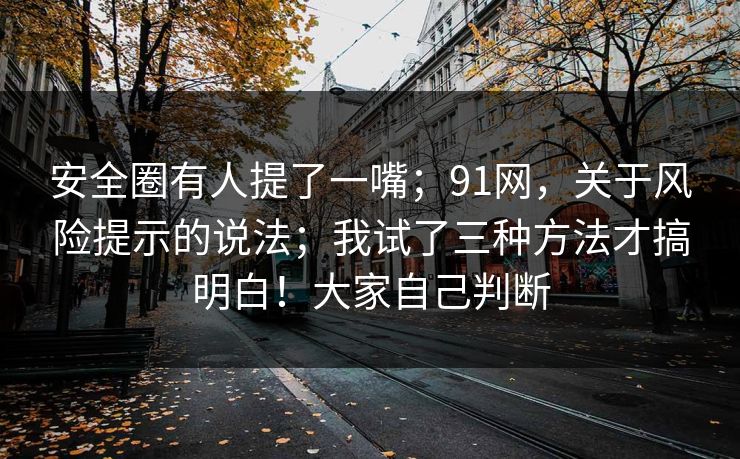 安全圈有人提了一嘴；91网，关于风险提示的说法；我试了三种方法才搞明白！大家自己判断